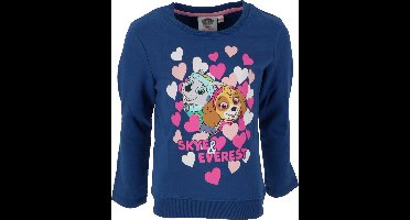 Paw Patrol Sweater