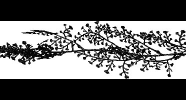 Cosy & Trendy Kerstslinger - zwart - 180 cm - glitter - kunststof - kerstboom slingers/guirlandes