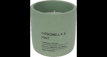 Citronella kaars in pot 10cm groen
