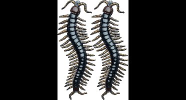 Chaks nep duizendpoten 90 cm - ophangbaar - zwart - 2x - horror/griezel thema decoratie