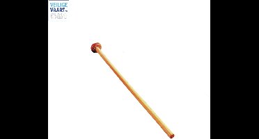 MW rechte essen Vlaggenstok Ø 20 mm x 80 cm