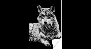 Poster Wilde dieren - Wolf - Zwart - Wit - 20x30 cm