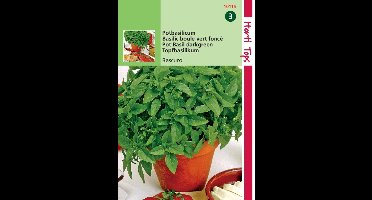 2 stuks - Hortitops - Pot Basilicum Bascuro Donkergroene
