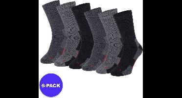 Apollo (Sports) - Thermo Wandelsokken - Blauw - Maat 35/38 - 6-Pack - Voordeelpakket