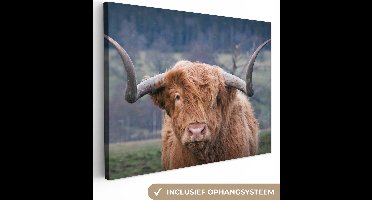 Canvas schilderij 160x120 cm - Wanddecoratie Schotse Hooglander - Koeienkop - Landschap - Natuur - Koe - Muurdecoratie woonkamer - Slaapkamer decoratie - Kamer accessoires - Schilderijen