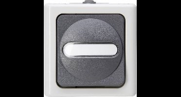 Kopp 560656006 BlueElectric Compleet Uitschakelaar, Wisselschakelaar spatwaterdicht Grijs 1 stuks 1 stuk(s)