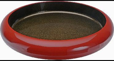 Sushi Oke - Serveerschaal - Lakwerk - Oranje/Goud - 40.3x7cm - ABS