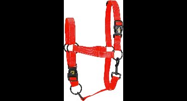 Excellent Horse - M (Pony) - Premium Essential Halster - Reflecterend halster voor paard - Geschikt voor paarden - Rood