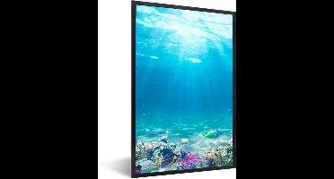 PosterMonkey - Poster - Poster in lijst - Fotolijst - Vissen - Onderwaterwereld - Water - Tropische vissen - 80x120 cm - Kader - Kamer decoratie - Poster met frame - Wanddecoratie natuur - Poster natuur