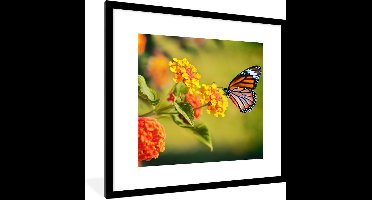 PosterMonkey - Poster dieren - Fotolijst - Vlinders - Bloemen - Natuur - Oranje - Kader - Posterlijst - 40x40 cm - Poster - Poster vlinder - Decoratie woonkamer - Wanddecoratie