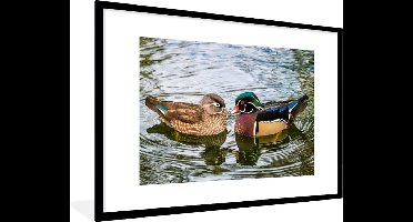 PosterMonkey - Poster - Fotolijst - Eend - Vogels - Water - Veren - 120x80 cm - Poster vogels - Poster eend - Frame poster - Poster lijst - Kader
