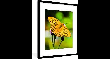 PosterMonkey - Poster - Fotolijst - Vlinders - Geel - Bloem - Dieren - Posterlijst - 60x80 cm - Kader - Poster natuur - Muurdecoratie- Wanddecoratie - Foto in lijst
