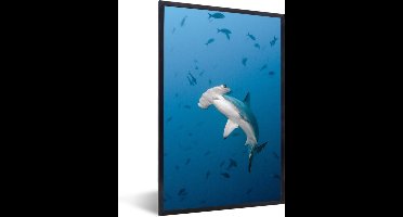 Fotolijst incl. Poster - Een grote hamerhaai in een donkere oceaan met vissen - 40x60 cm - Posterlijst