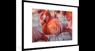 PosterMonkey - Poster - Flamingo - Vogel - Dieren - Roze - Fotolijst - 90x60 cm - Poster flamingo - Posterlijst - Frame poster - Poster dieren - Woonkamer