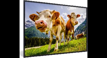 PosterMonkey - Poster - Fotolijst - Koeien - Gebergte - Alpen - Natuur - Dieren - 120x80 cm - Posters - Foto met lijst - Poster met kader - Poster koe - Posterlijst