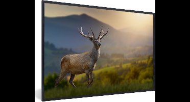 PosterMonkey - Poster - Fotolijst - Hert - Bergen - Zon - Gras - Landschap - 30x20 cm - Poster frame - Foto in lijst - Poster hert - Poster dieren