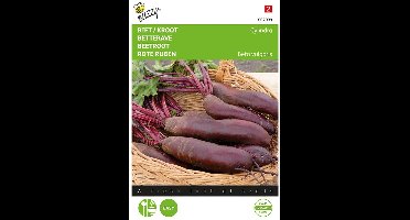 Buzzy® Biet / Kroot Cylindra