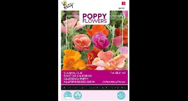 Buzzy - Slaapmutsje Thai Silk Mix (Eschscholzia californica)
