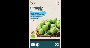 Buzzy® Organic Spruitkool Doric F1 (BIO) - biologisch groentezaad