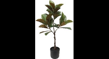 Kunstplant Magnolia 35x98 cm Groen