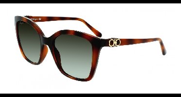Ferragamo SF1026S Tortoise 54/19/140 WOMAN Zonnebrillen