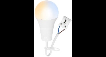 LED verhuislamp 10W 1100lm CCT 3000/4000/6500K met steekklem (bouwlamp / renovatielamp) | Geen fitting | Warm Wit-Koel Wit-Daglicht | 10 watt | 25.000 Branduren