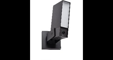 Netatmo Slimme Bewakingscamera - NOC2 - Bewakingscamera met Sirene - Camerabewaking - met Bewegingsdetectie, Nachtzicht en Ingebouwde Sirene - Zwart - 1 Stuk