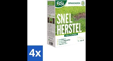 BSI – Graszaad – Snel Herstel – Dicht & Sterk Gazon – 2,5 kg - Voordeelverpakking - 4 stuks