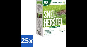 BSI – Graszaad – Snel Herstel – Dicht & Sterk Gazon – 2,5 kg - Bulkverpakking - 25 stuks
