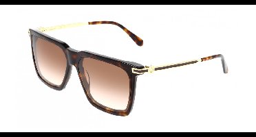 Ferragamo SF2077SLBI Dark tortoise 59/14/145 MAN Zonnebrillen