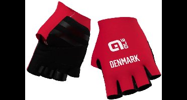 Ale Federazione Danese Handschoenen Rood M