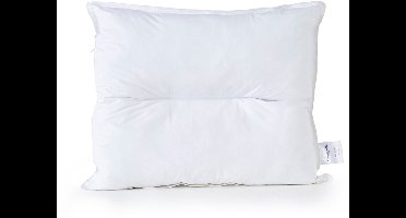 Cinderella Hoofdkussen New Classic - Slaapkussen - 60x70 cm - Anti-allergeen - Ideaal voor Rug-, Zij- en Buik- Slapers - Medium