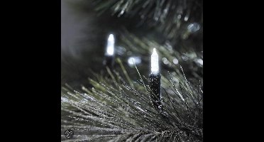 Konst Smide Kerstverlichting buiten 6020-200