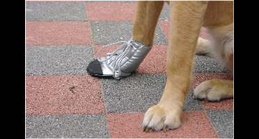 Beschermingsschoen Zilver, zwart. Maat L.