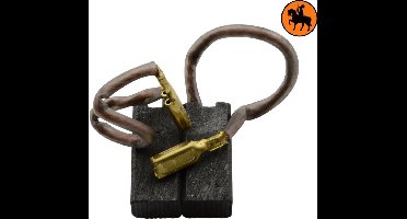 Koolborstelset voor DeWalt DW516B - 6x8x18mm - Vervangt 320876 & 323660-00