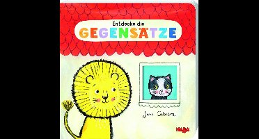 Entdecke die Gegensätze