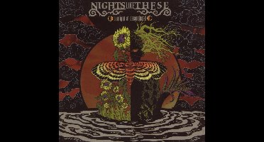 Sunlight At Secondhand