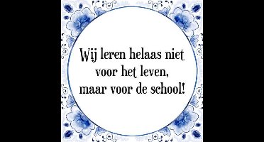 Tegeltje met Spreuk (Tegeltjeswijsheid): Wij leren helaas niet voor het leven, maar voor de school! + Kado verpakking & Plakhanger