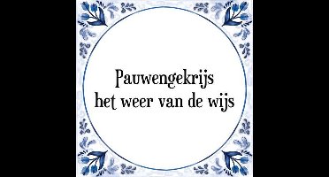 Wijsheden Tegeltje met Spreuk (wijsheden over het weer): Pauwengekrijs het weer van de wijs + Cadeau verpakking & Plakhanger