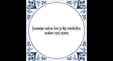 Tegeltje met Spreuk (Tegeltjeswijsheid): Sommige zaken leer je bij windstilte, andere met storm + Kado verpakking & Plakhanger