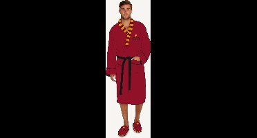 Badjas Harry Potter "Where's Harry Glasses and Lightening" non hooded