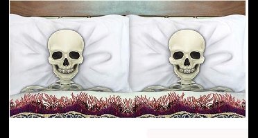 ESPA - 2 skelet kussenslopen