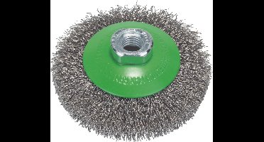 M14 KEGELBORSTEL 100 GEGOLFD 0.35 INOX