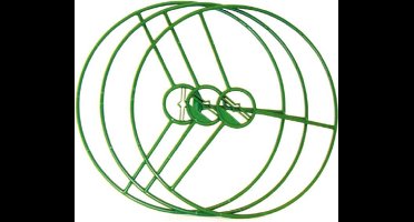 Hendrik Jan plantensteun lift 30 cm (3 stuks)