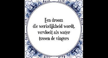 Tegeltje met Spreuk (Tegeltjeswijsheid): Een droom die werkelijkheid wordt, vervloeit als water tussen de vingers + Kado verpakking & Plakhanger