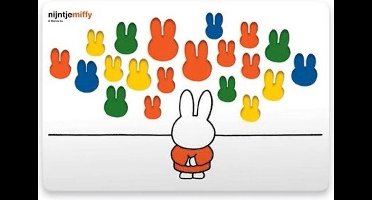 Nijntje kinderplacemat Museum