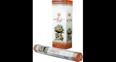 Green Tree - witte salie palo santo wierook - hexa - doos 6 stuks