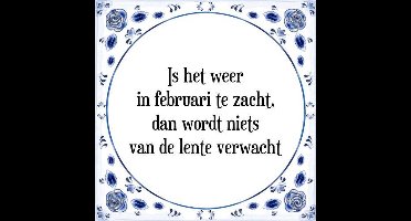 Tegeltje met Spreuk (Tegeltjeswijsheid): Is het weer in februari te zacht, dan wordt niets van de lente verwacht + Kado verpakking & Plakhanger