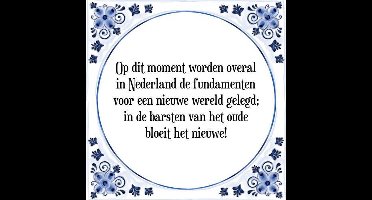 Tegeltje met Spreuk (Tegeltjeswijsheid): Op dit moment worden overal in Nederland de fundamenten voor een nieuwe wereld gelegd; in de barsten van het oude bloeit het nieuwe! + Kado verpakking & Plakhanger