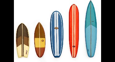 Kikkerland Magneten Surf's Up! 7,1 X 1,2 Cm Vinyl 5-delig